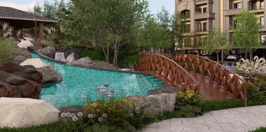 Tranquil Koi Pond